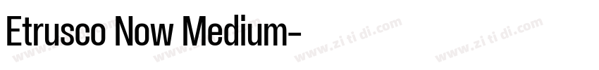 Etrusco Now Medium字体转换